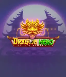 Enter a legendary quest with Dragon Hero Slot by Pragmatic Play, showcasing stunning graphics of ancient dragons and heroic battles. Discover a land where legend meets adventure, with symbols like enchanted weapons, mystical creatures, and treasures for a thrilling slot experience.