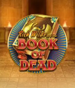 Dive into the thrilling world of Book of Dead Slot by Play'n GO, presenting vivid graphics of Rich Wilde's journey through ancient Egyptian tombs and artifacts. Uncover lost riches with exciting mechanics like free spins, expanding icons, and a gamble option. Ideal for adventure enthusiasts with a desire for exciting finds.